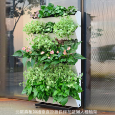 可移動-真植物牆 垂直掛牆長條花盆懶人種植架/自動補水(T1431).