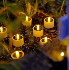 太陽能燈-仿真蠟燭燈(6個裝)/露營營地氛圍燈裝飾村屋餐廳用(T3675)