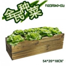種菜木花盆-多尺寸(T3131).