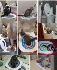 (新款)貓貓如廁訓練器(T3799)
