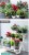 多層種菜盆-花盆立體組合專用箱家庭室內種植神器頂樓菜架草莓花盆(T5697) -
七色彩虹網上商店-網站:  http://rainbowhkshop.com