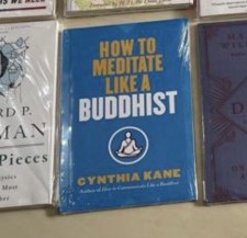 HOW TO MEDITATE Like a BUDDHIST (T5387DS)