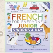 DK / french for everyone junior  (支援✅小達人點讀筆) (T3889DS)