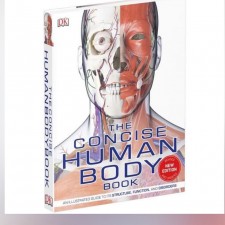 DK / The concise human body(T4592DS)