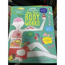Usborne / lift the flap / How your body works (T4626DS) 