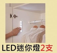 LED迷你燈2支(T4881)