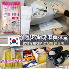 (截單日: 2024/APR/9) 韓國超強吸濕衣物棉被除濕片 40g (1套4片) - 6月底(T9673HK)