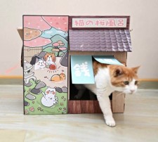 貓之商店街-可愛章魚燒/溫泉屋款(T4610)